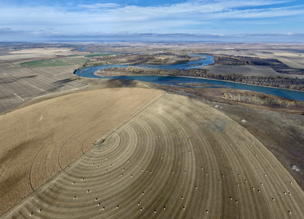 Pivot Field